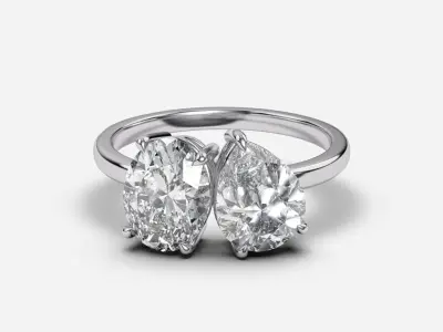 Two Stone diamond Ring 3D print model