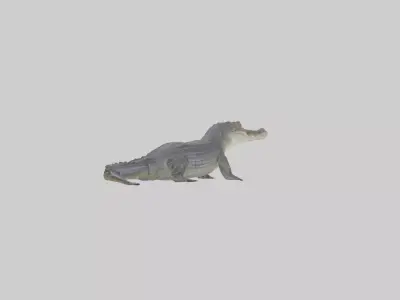 Slender-snouted crocodile Low-poly 3D model