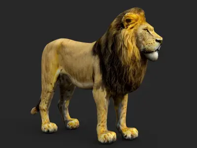 Lion Cartoon Low-poly 3D model buy