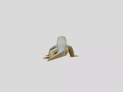Realistic Lizard Reptile Model for Game and Animation Low-poly 3D model