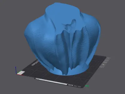 Rhodesian Ridgeback - with Cape Collar on Pedestal 3D print model