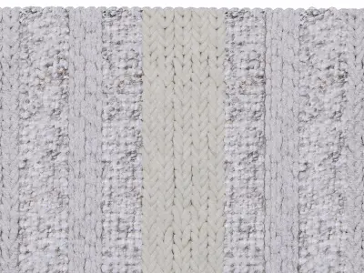 MiiiM Woven Rug 1 3D model