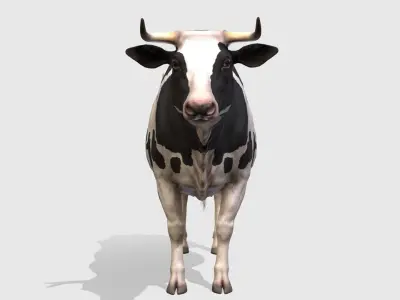 COW realistic Low-poly 3D model