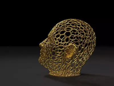 Head voronoi 2 3D print model