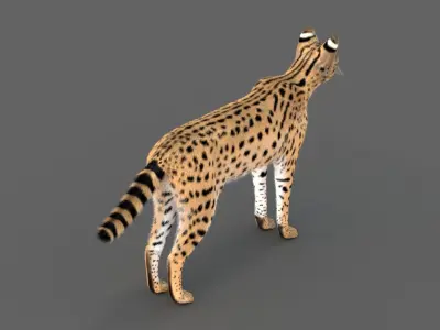 Realistic Serval  Low-poly 3D model
