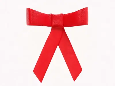 Ribbon High quality 3d model Low-poly 3D model