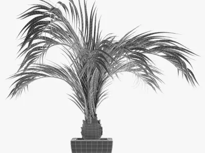 Realistic Palm Garden 3D model purchase