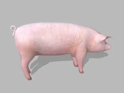 farm pig Low-poly 3D model