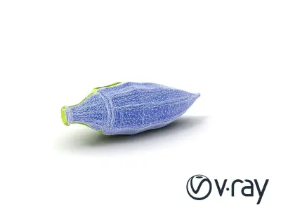 Realistic Okra Pod Model Pack Low-poly 3D model