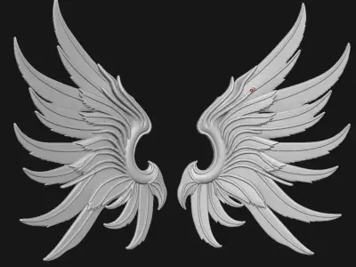 Wings 3D print model