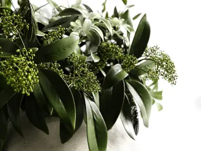 L aroma di Roma 3D model