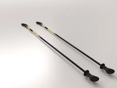 Walking Pole 3D model