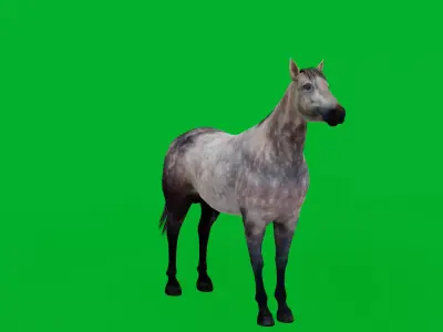 Anglo European Horse Low-poly 3D model