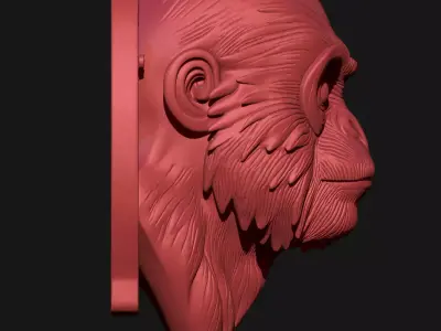 monkey 3D print model