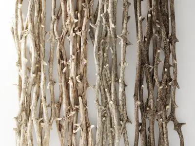 Branch decor old tree Two n2  3D model