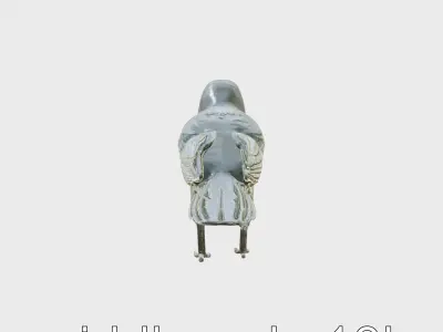 American Crow 3D Model with Realistic Black Plumage Low-poly 3D model