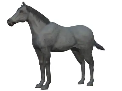 Horse and Donkey Low Poly Low-poly 3D model