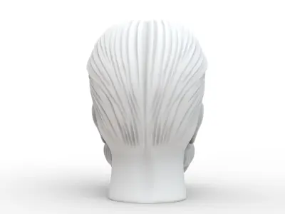 Stylized Skull with Beard and Hair 3D print model