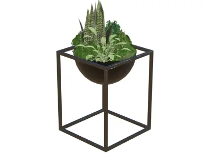 Decorative plants Low-poly 3D model