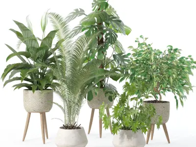 20 Photorealistic Flowers for Interiors - set 121 128 134 141 3D Model Collection