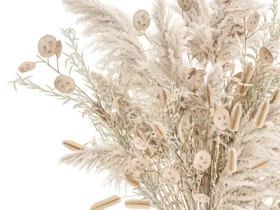 Luxury bouquet of reeds pampas grass and dried flowers 234 3D model