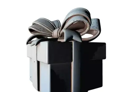 Christmas Special Gift Box Model 3D print model