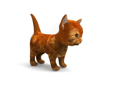 3D Pet Cat Model  Low-poly 3D model