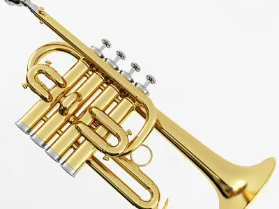 Piccolo Trumpet 3D model