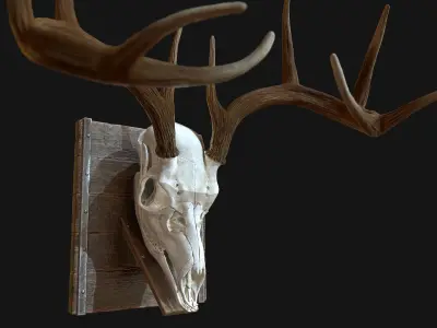 Deer Antler  Low-poly 3D model