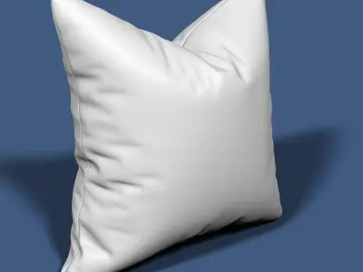 Pillow 57 3D model