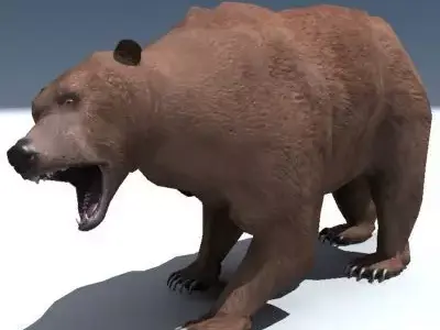 Grizzly Bear Rigged 3D model