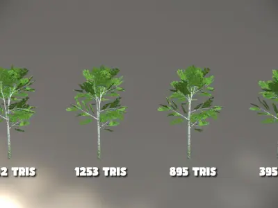 Birch Forest - Game Ready with LODs Low-poly 3D model