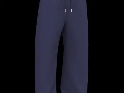 Male sweatpants 3D model