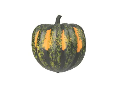 Photorealistic Acorn Squash 3D Scan 1 3D model