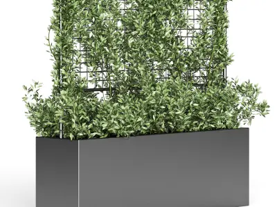 Botanical Planter 3 3D model