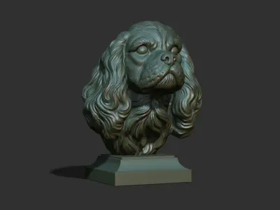 Spaniel Cavalier King Charles bust 3D print model