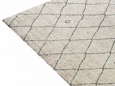 Restoration Hardware rug 3D model