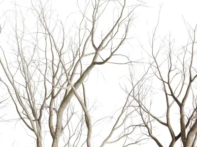 Tree and Dried branches with concrete dirt vase 3D model