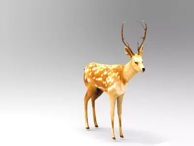 Deer Rigged  Low-poly 3D model