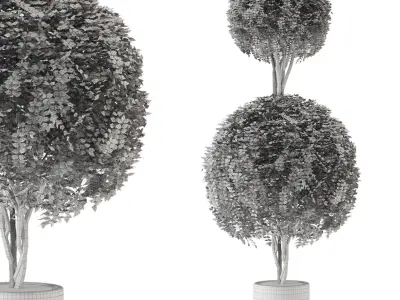 Outdoor Plants in Concrete Pot Set 31  3D model