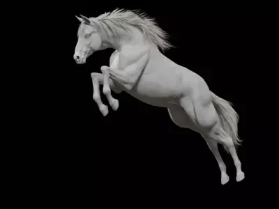 White Horse Rigged Animated 3D model