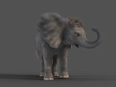Fur Baby Elephant Rigged in Blender Low-poly 3D model
