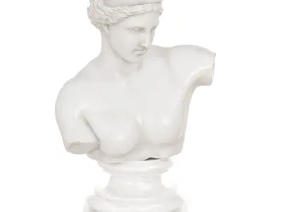 Bust of Venus of Capoa 3D model