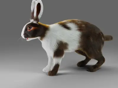 Fur Rabbit Gray V04 NO Rigged Low-poly 3D model