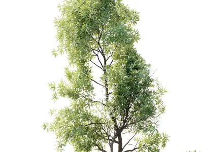 Garden plants set in a box  outdoor set 127 3D model