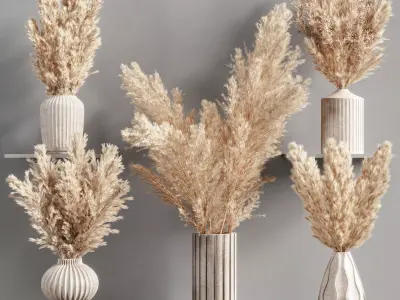 Collaction Plants Bouquet 16  pampas  3D model