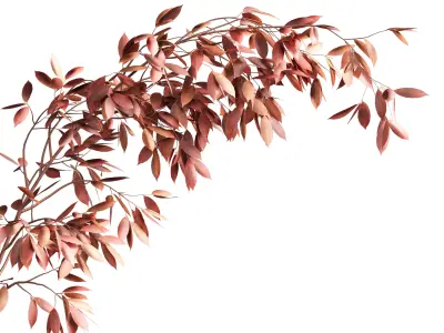 Plants Bouquet 10 3D model
