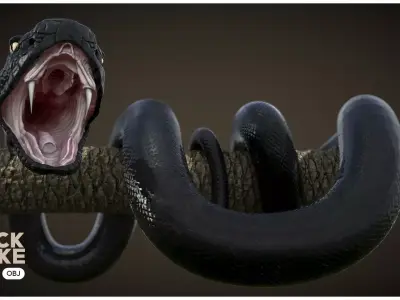 Realistic Black Snake 3D model