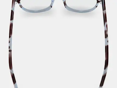 Virginia Eyeglasses in Icecap Tortoise Fade 3D model