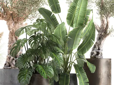 Ornamental plants for landscape design 1060 3D model